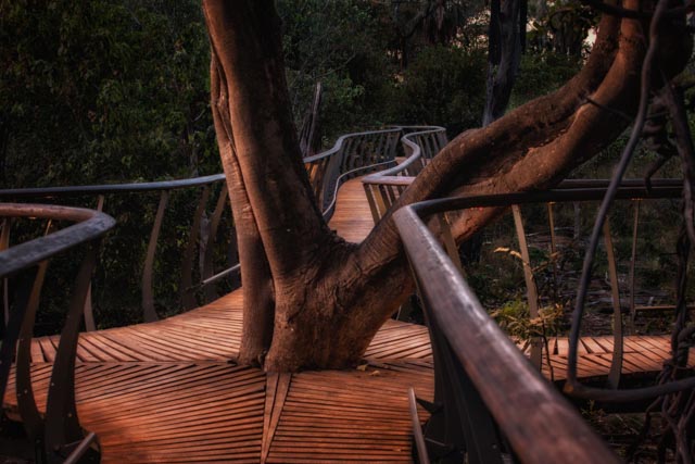 Chitabe Camp, Okavango Delta, Botswana 